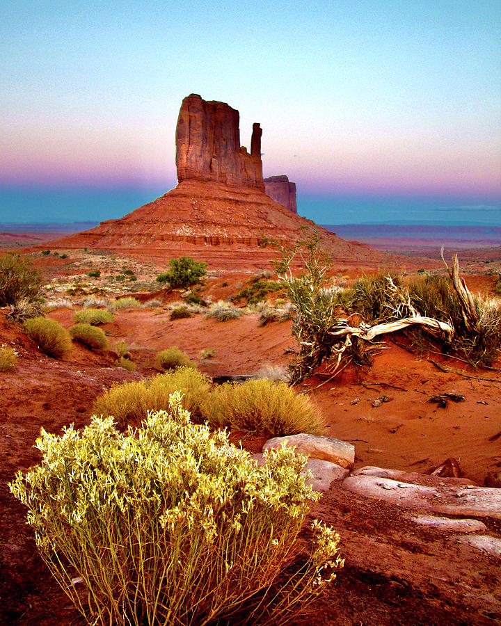 Rabbitbrush and West Mitten in Monument Valley Navajo Tribal Park ...