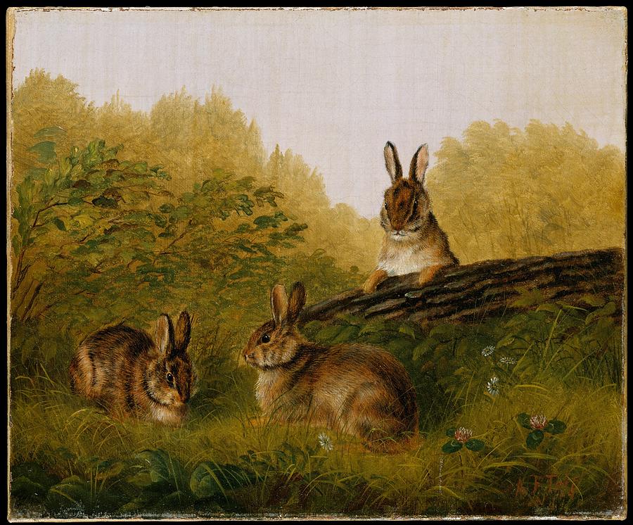 Rabbits on a Log 1897 Arthur Fitzwilliam Tait American, born England Painting by MotionAge Designs