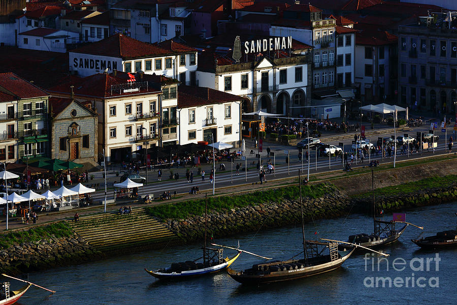 Rabelo boats moored on the Douro River waterfront Oporto Portugal Photograph by James Brunker