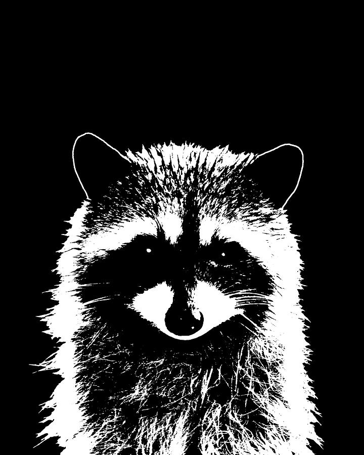 Raccoon 25 Black and white Mixed Media by Lucie Dumas