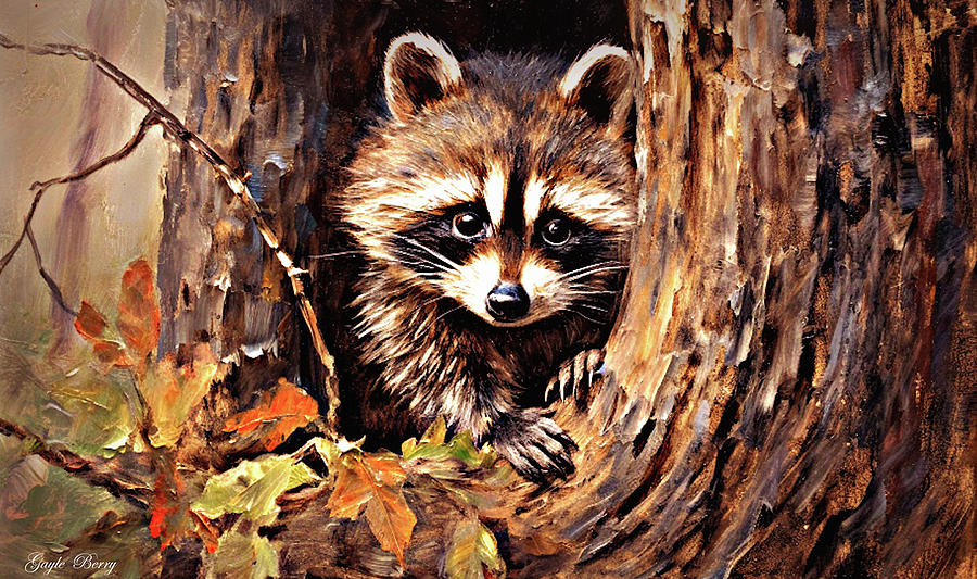 Raccoon In Tree Mixed Media by Gayle Berry - Fine Art America