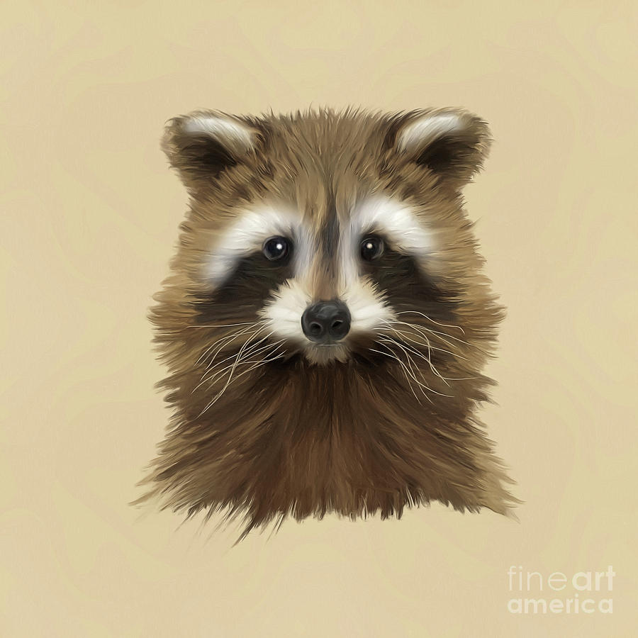Raccoon Painting by John Edwards