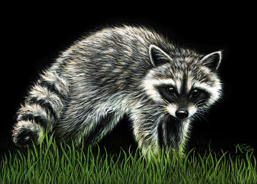 Raccoon Painting by Monique Morin Matson