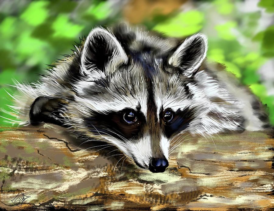 Raccoon Study Digital Art by Shawn Richardson | Fine Art America