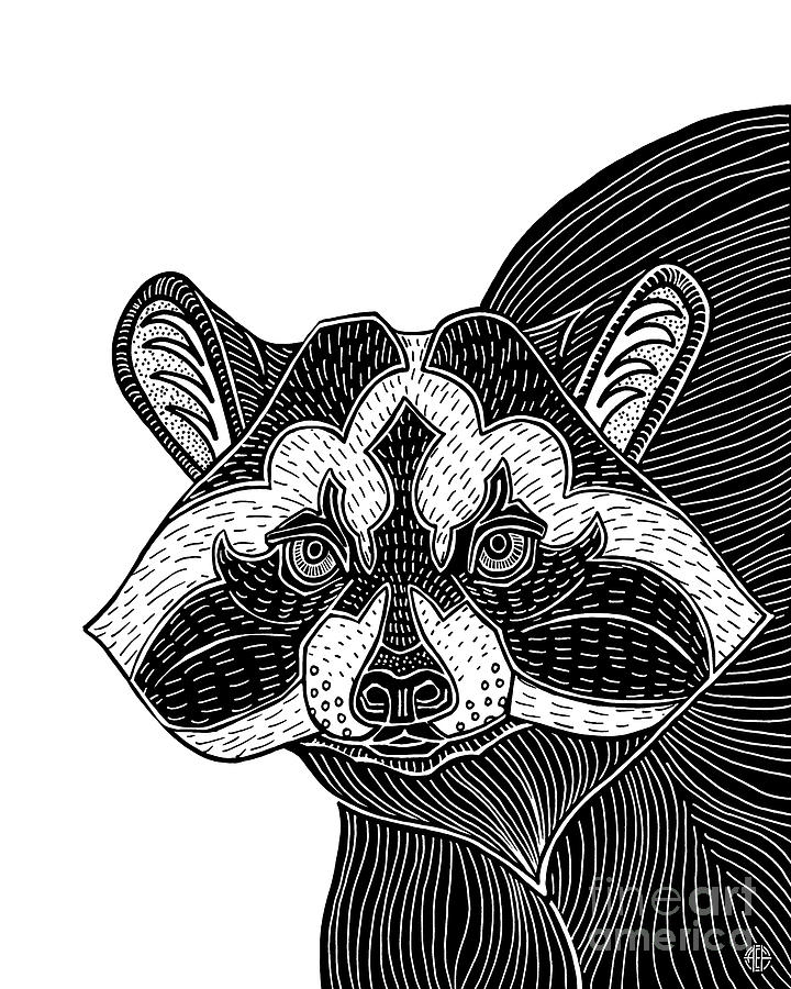 Raccoon. Wild Animal Ink 25  Drawing by Amy E Fraser