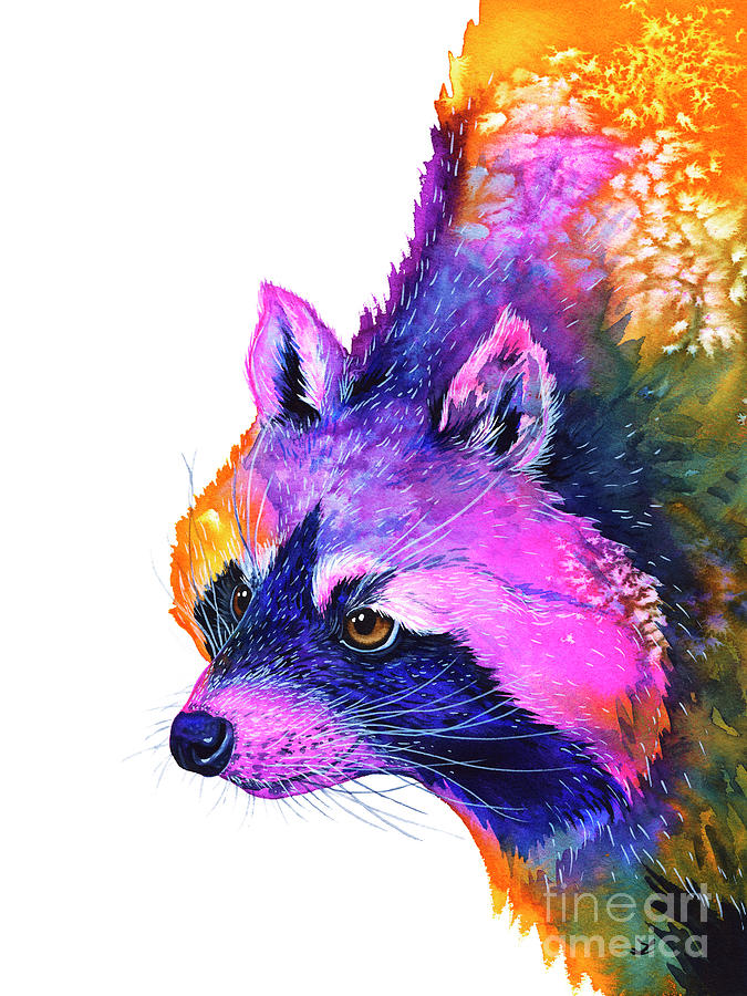 Raccoon Painting by Zaira Dzhaubaeva