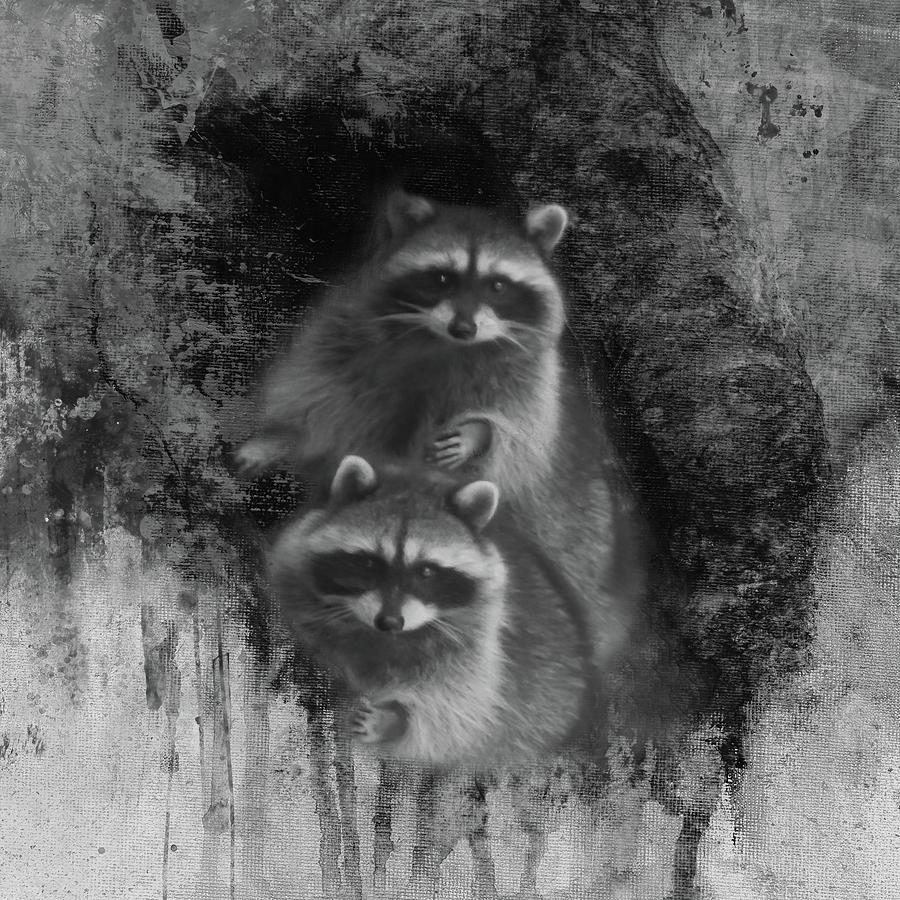 Raccoons in Tree -bw Digital Art by Marilyn Wilson