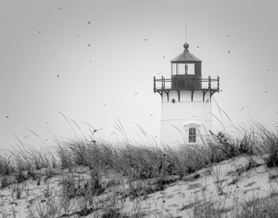 Race Point Lighthouse, Cape Cod Photograph by Brian Caldwell