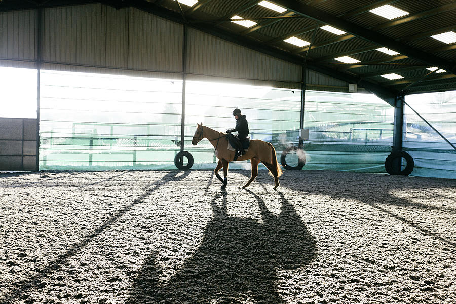 Racehorse, early morning exercise Photograph by Urbancow