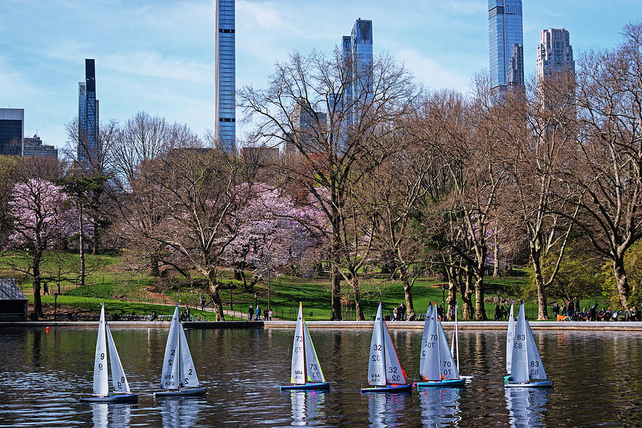 Racing Model Boats on the Conservancy Water Pond in Central Park New York City Photograph by Toby McGuire