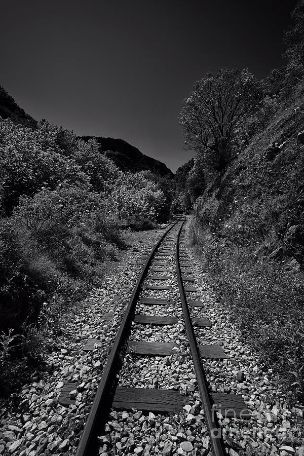 Railway in a gorge II Photograph by George Atsametakis