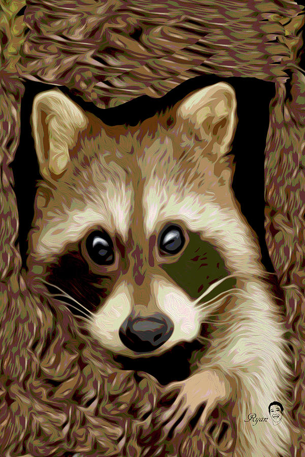 Raccoon In Tree Digital Art by Keith Ryan - Fine Art America