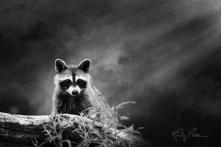 Raccoon Posing Photograph by Randall Allen