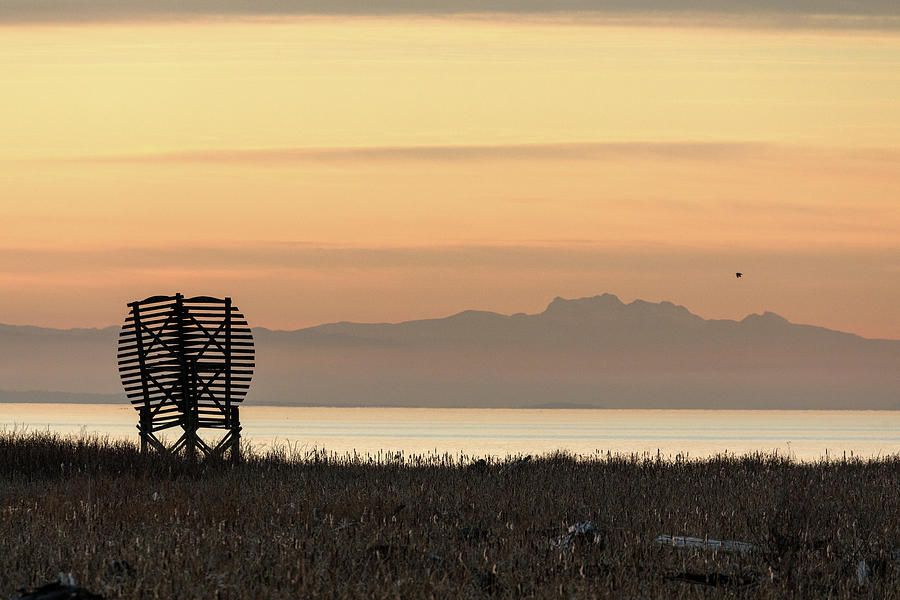 Radar Reflector on the Fraser River Delta Photograph by Michael Russell