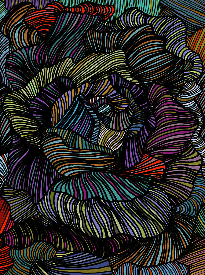 Radiant Nautilus Digital Art by Minor Details