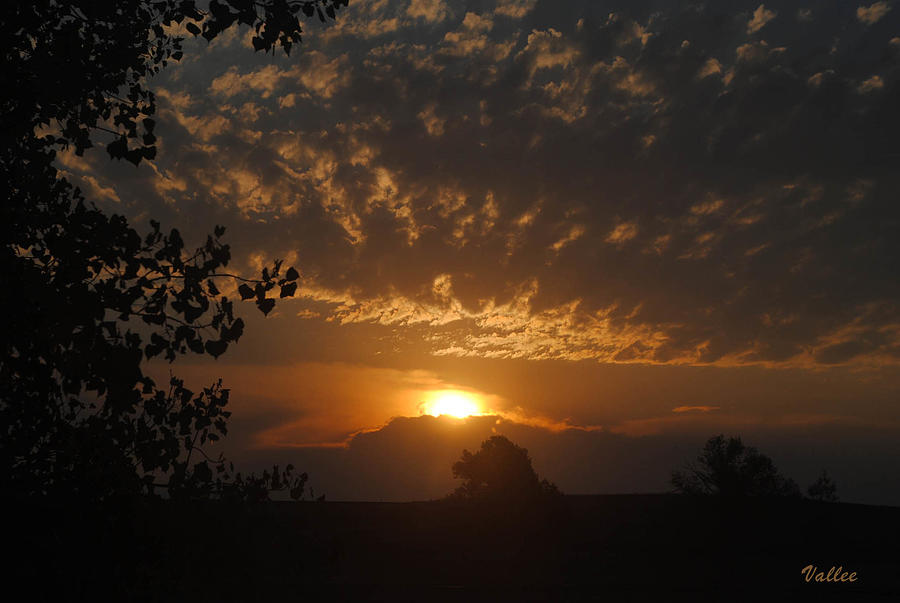 Radiant Sunrise Photograph by Vallee Johnson
