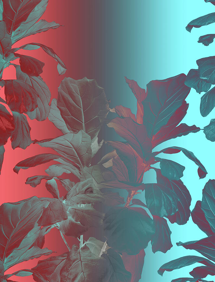 Flower Digital Art - Radiate I by Lloyd Arbour