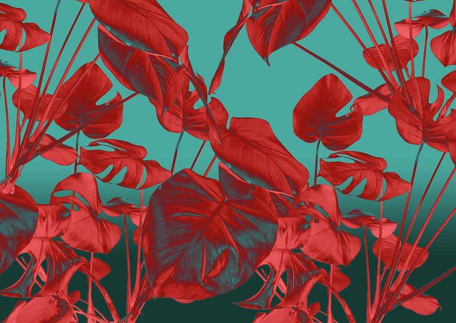 Flower Digital Art - Radiate II by Lloyd Arbour