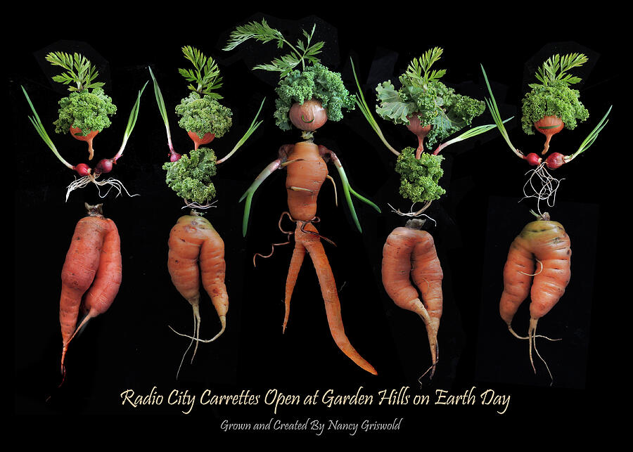 Vegetable Photograph - Radio City Carrettes Open at Garden Hills on Earth Day by Nancy Griswold