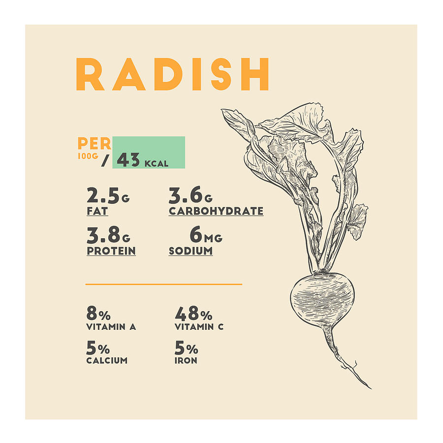 radish-nutrition-ubicaciondepersonas-cdmx-gob-mx