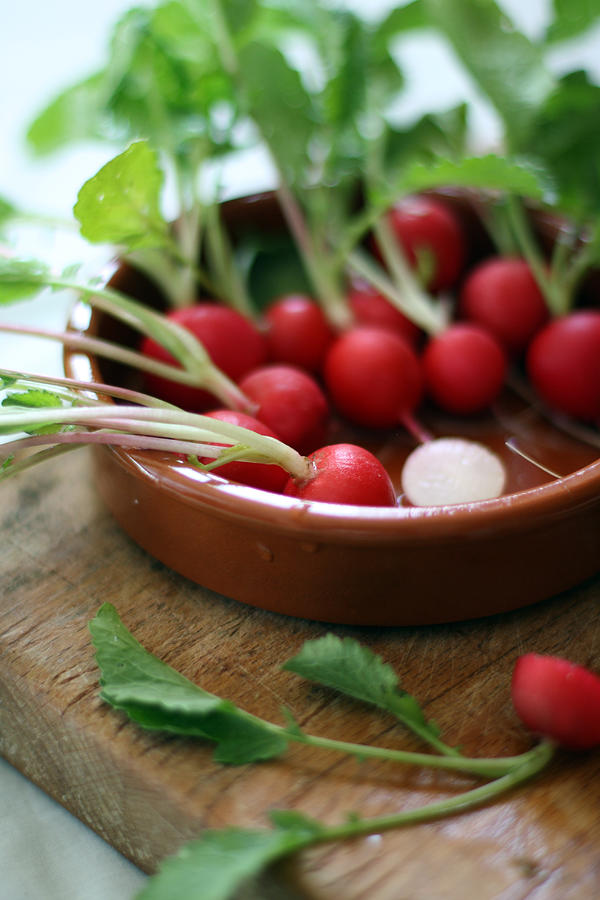 Radishes Photograph by Maria Dattola Photography