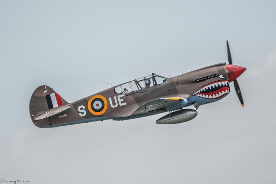 RAF P-40 Kittyhawk Photograph by Tommy Anderson