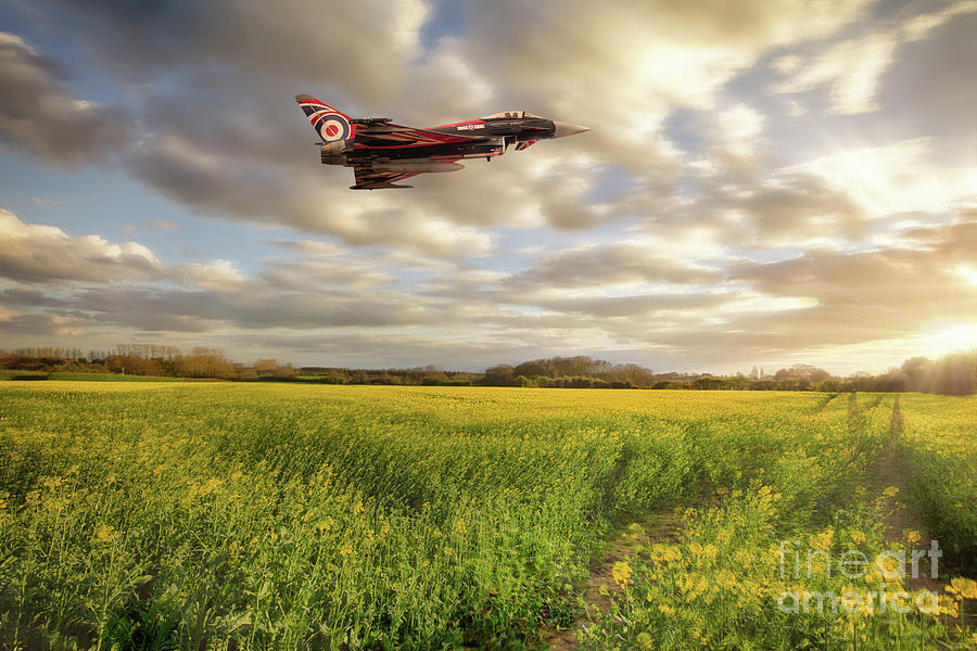 RAF Typhoon Eurofighter jet flying over rapeseed crops Photograph by Simon Bratt