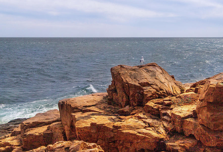 Rafes Chasm Ocean View Gloucester MA Photograph by Michael Saunders