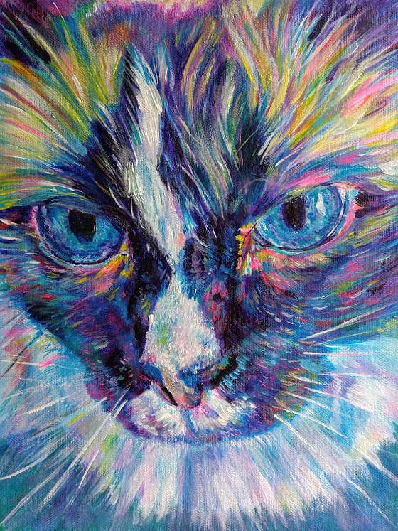 Ragamuffin cat -male Painting by Karin McCombe Jones - Fine Art America