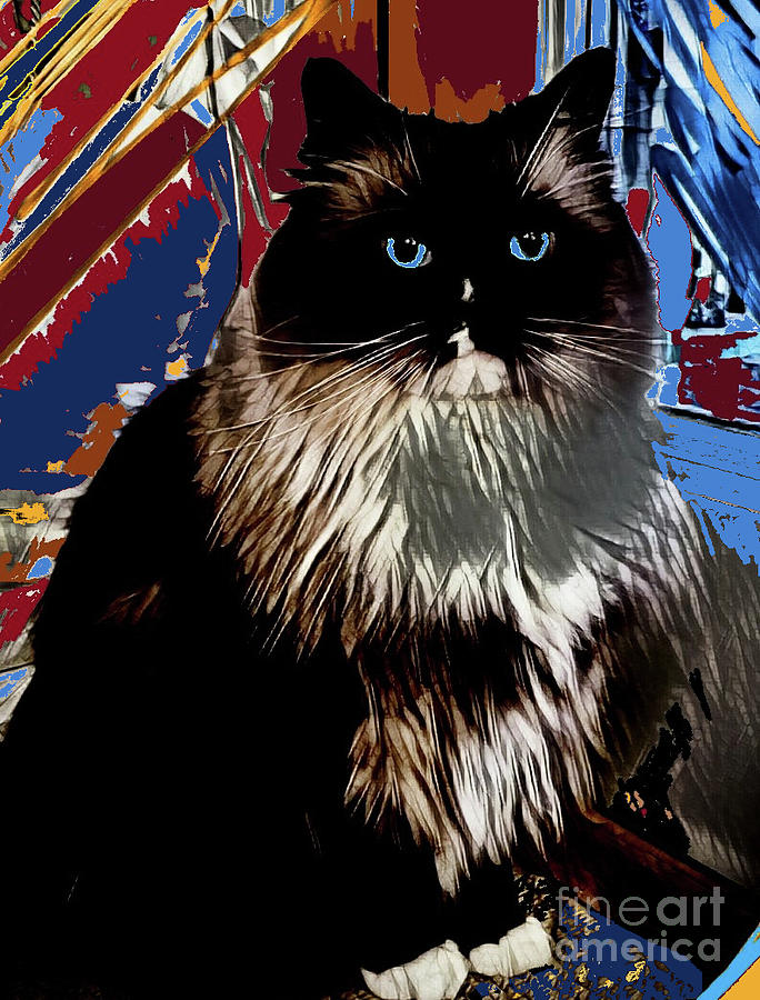 Cat Mixed Media - Ragdoll Abstract by dep Arts Cat Mixed Media - Ragdoll Abstract by dep Arts