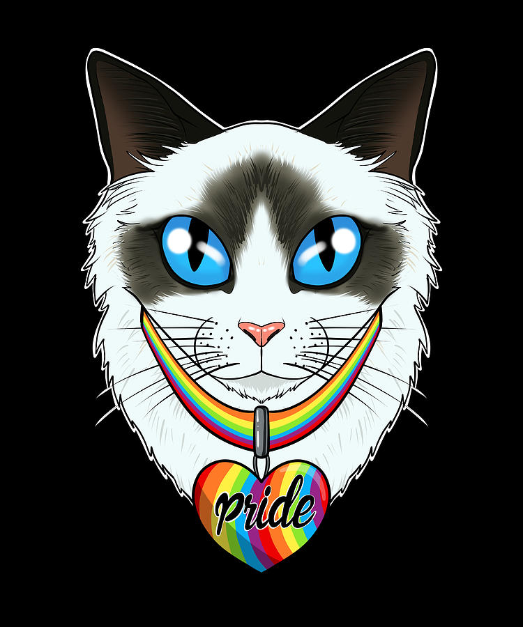 Ragdoll Cat Lgbtq Flag I Gay Pride Flag Digital Art By Maximus Designs Fine Art America 1163