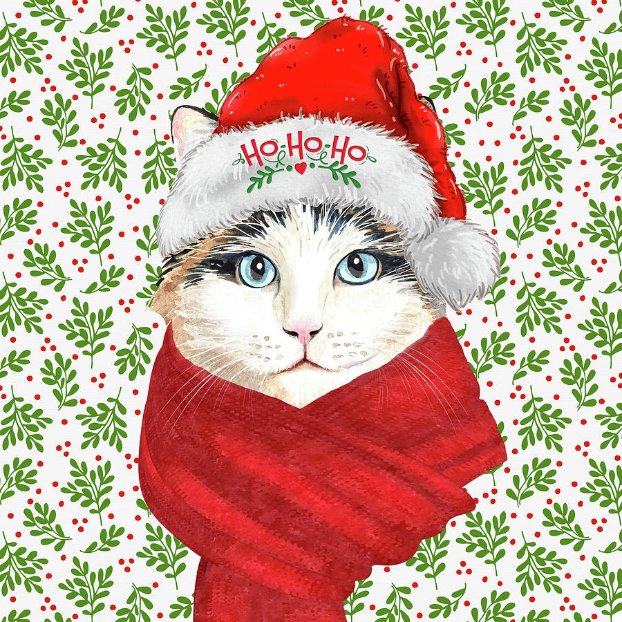Ragdoll Christmas Cat Digital Art by Doreen Erhardt