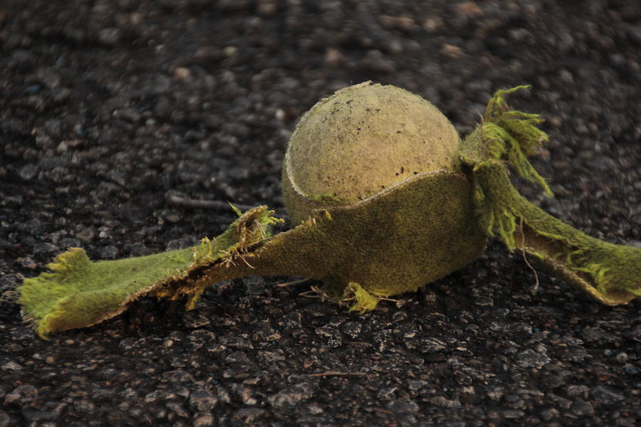 Ragged Old Tennis Ball Photograph by Valerie Collins
