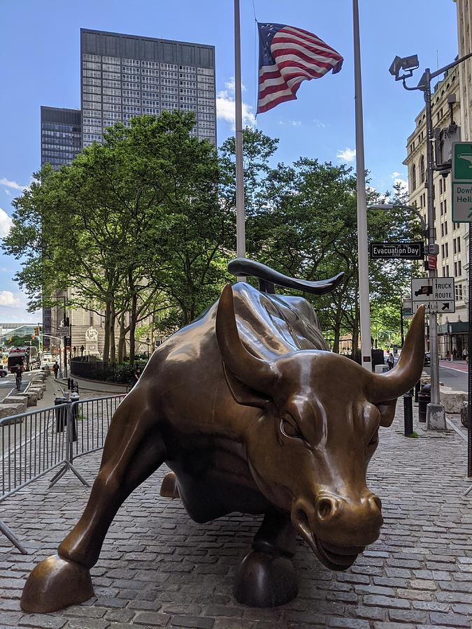 Raging Wall Street Bull Photograph by Darian Arman - Fine Art America