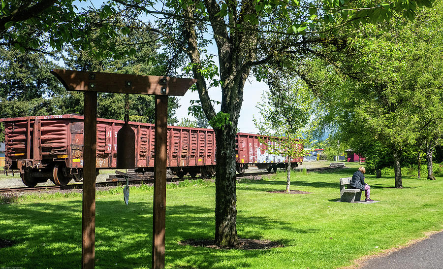 Rail Cars and Bench Sitter Photograph by Tom Cochran