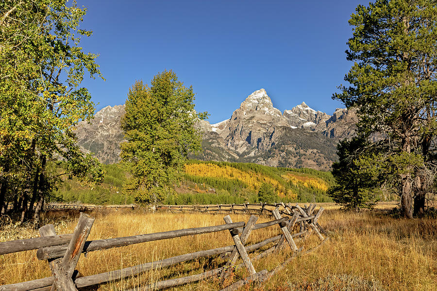 Rail Fence at Grand Teton Photograph by Jack Bell