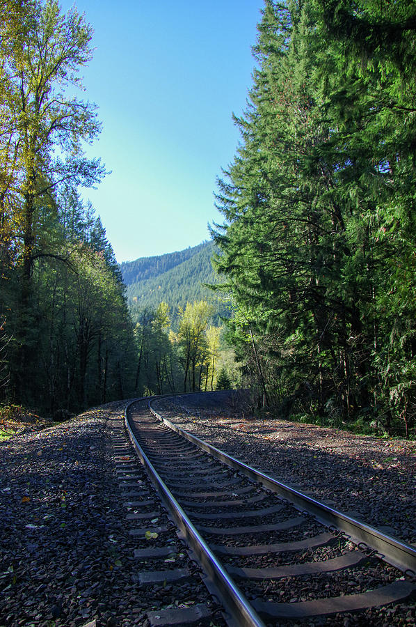 Rail into the forest Photograph by Jeff Swan