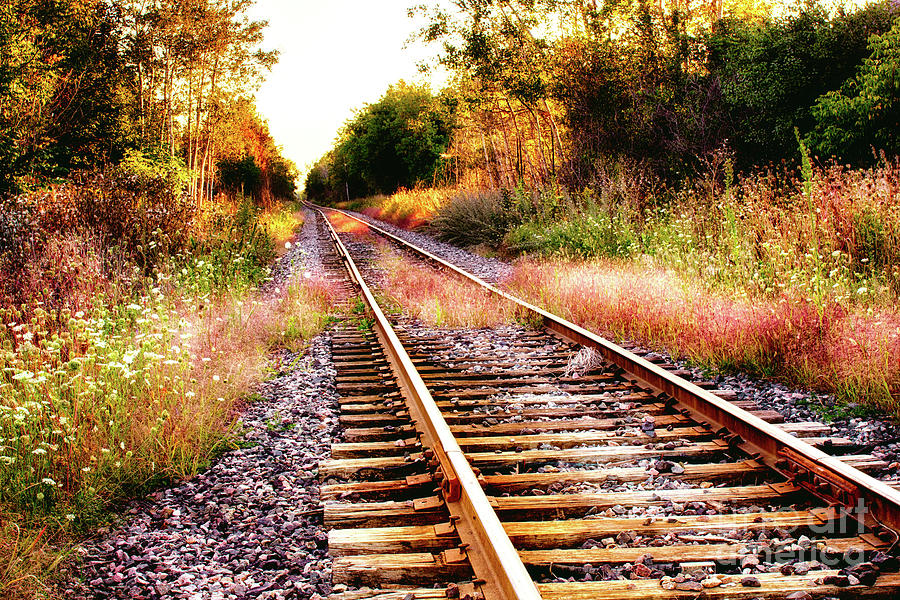 Railway Tracks 1 Photograph