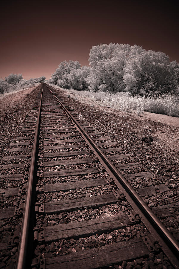 Infrared Photograph - Railing iR by Brian Duram