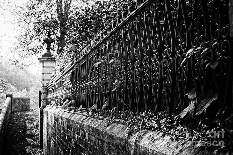 Railings in Black and White Photograph by Natalie Kinnear - Fine Art ...