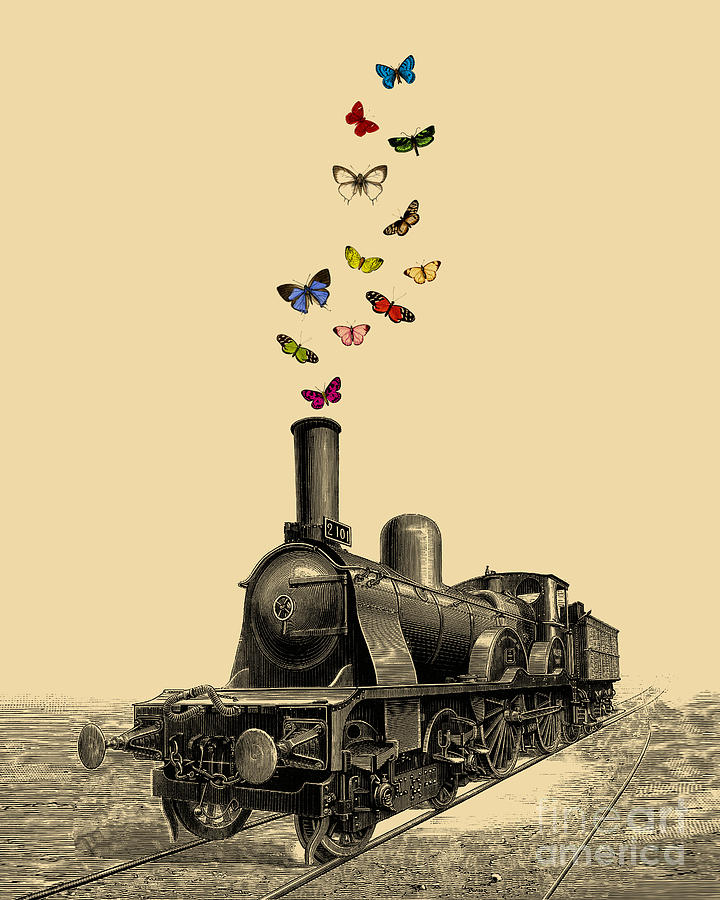 Butterfly Digital Art - Railroad Butterflies by Madame Memento