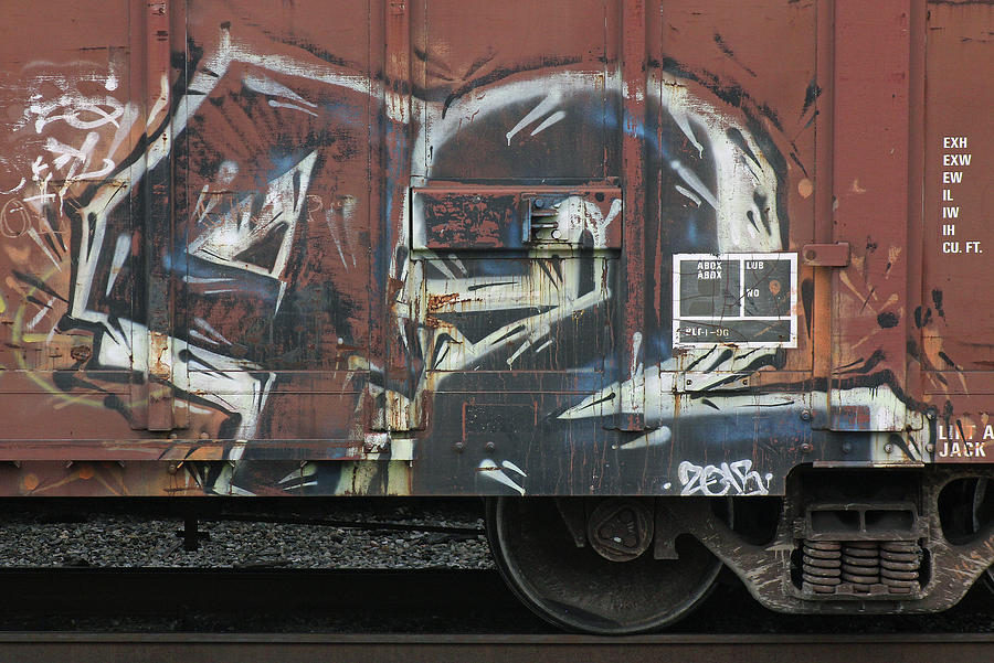 Railroad Car Graffiti 42 Photograph by Joseph C Hinson