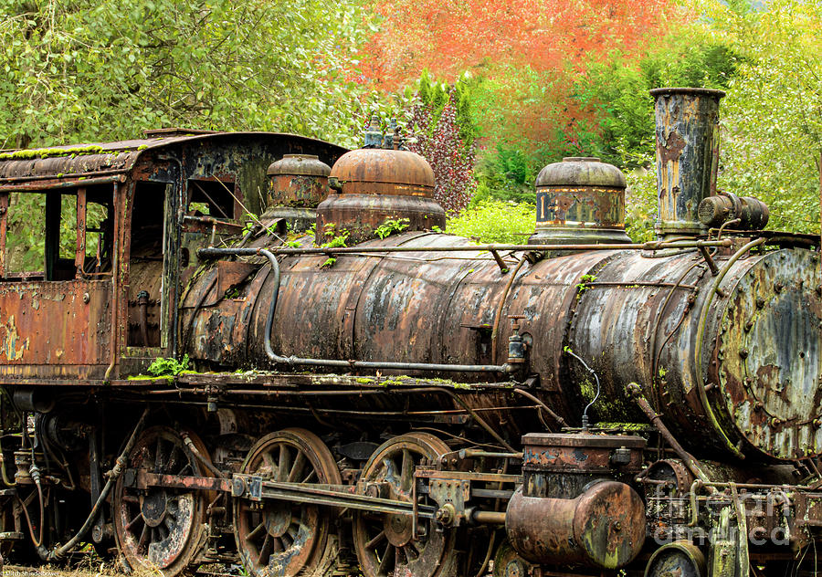 Railroad  Relic Photograph by Mitch Shindelbower