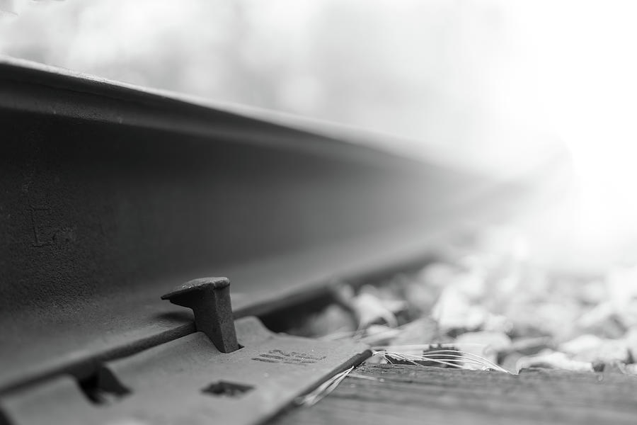 Railroad Spike Photograph by Bob Orsillo