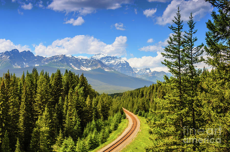 Railroad Through The Forest Photograph