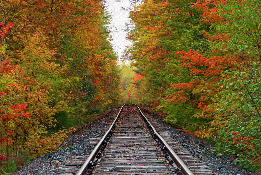 Railroad Track Leading into Autumn Photograph by Sandra Js
