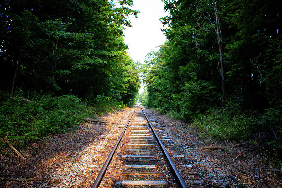 Railroad Tracks Diana NY Photograph by Daniel Huntley - Fine Art America