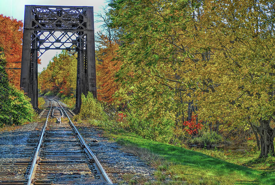Railroad Tracks in Maine Photograph by Cordia Murphy