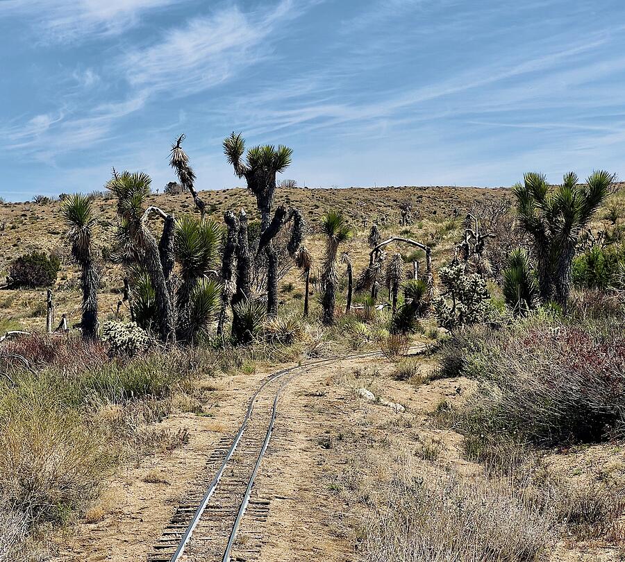 Railroad Tracks in the Desert Photograph by Collin Westphal - Fine Art ...