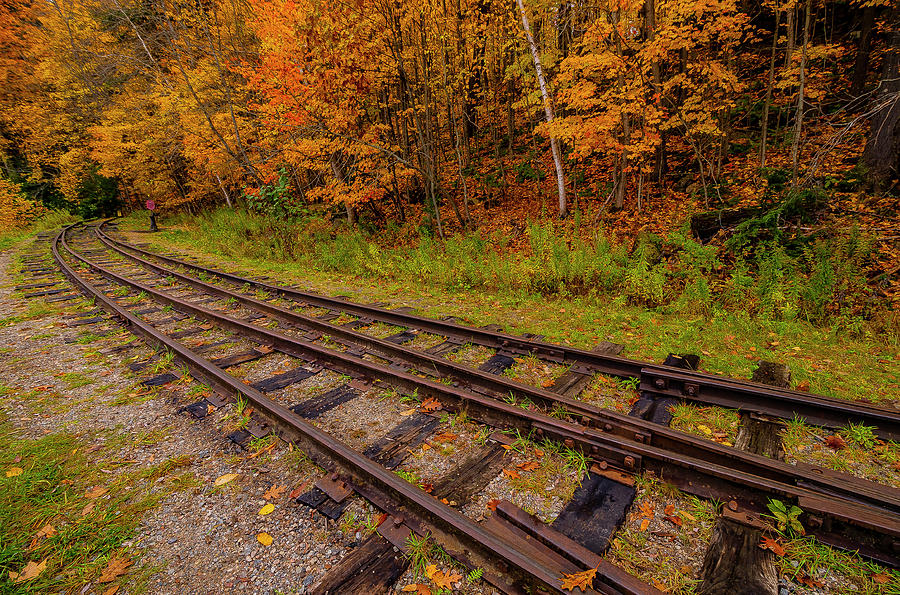 Huntsville Photograph - Railroads to Autumn, Huntsville, Muskoka, Ontario, Canada by Daniel Garrido Sanchez
